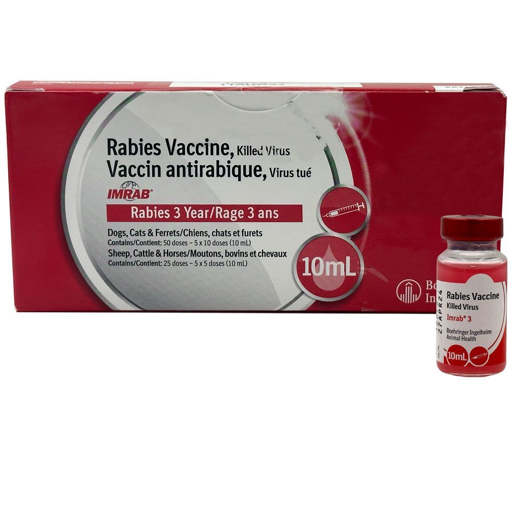 rabies-vaccine-for-dogs
