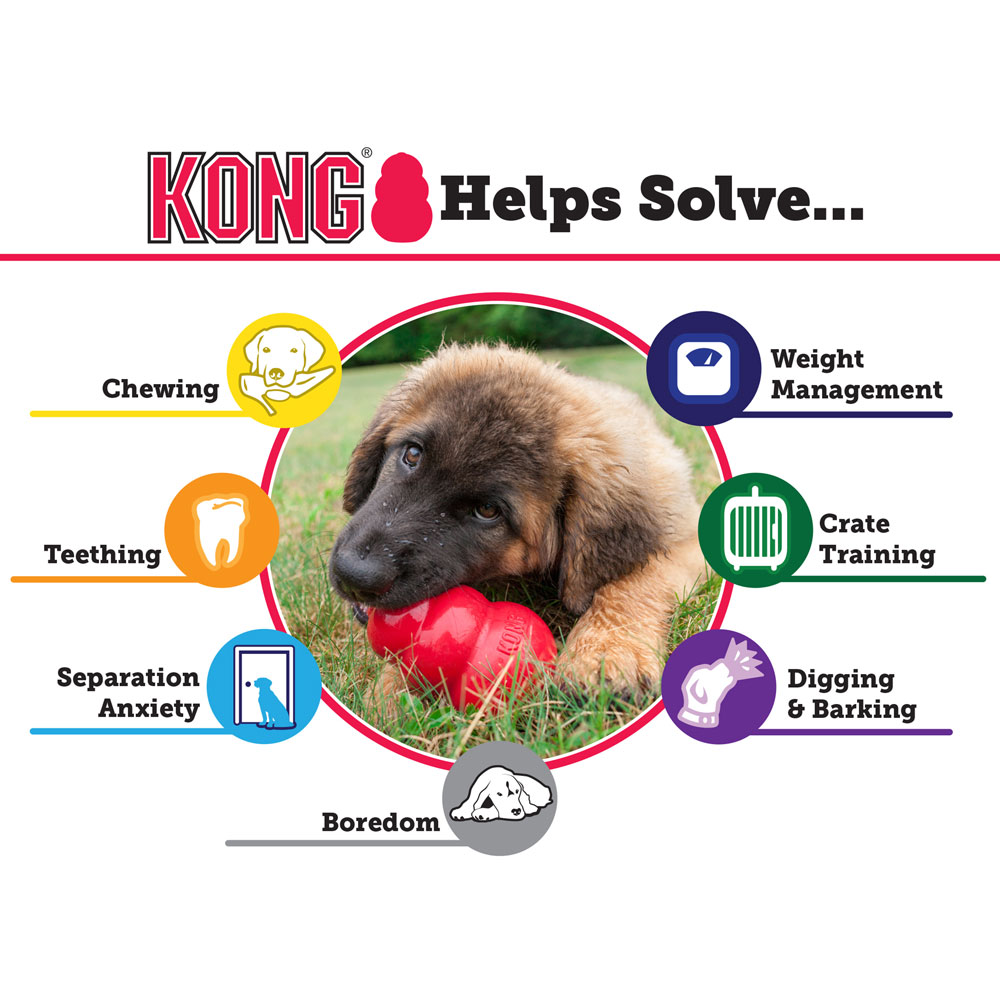 KONG Senior Dog Toy, Large On Sale EntirelyPets Rx