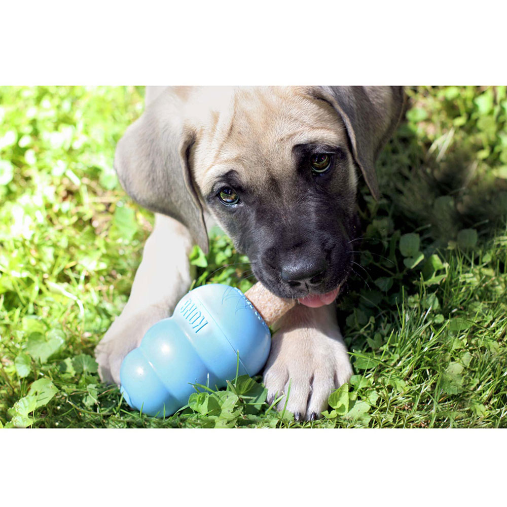 KONG Ziggies Puppy Small, 7 oz On Sale EntirelyPets Rx