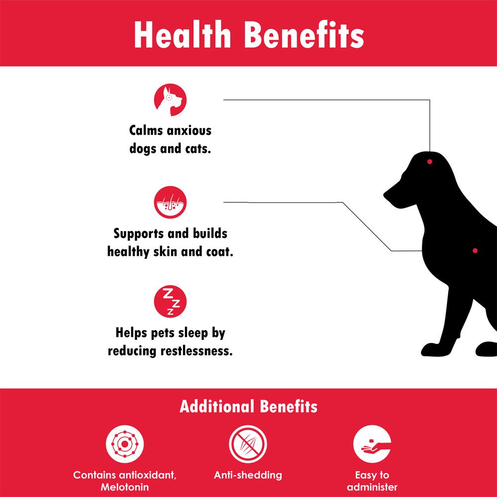 Dog Melatonin Calming Chews Melatonin Calming Soft Chews For Dogs - Vet ...