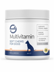 Multivitamins for Dogs, Beef Flavor, 60 Soft Chews