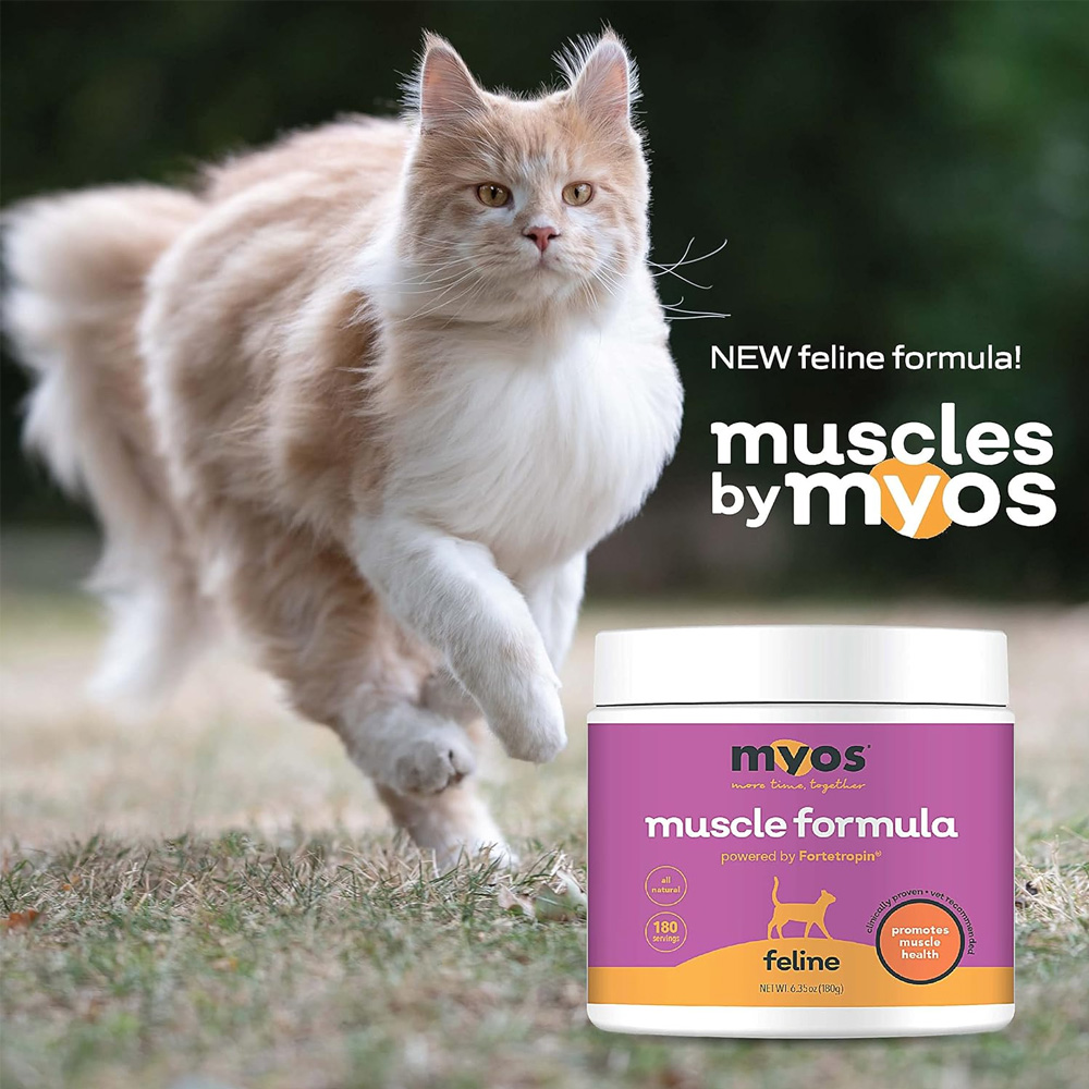 Myos Corp Feline Muscle Vet Formula, 198 gram On Sale EntirelyPets Rx