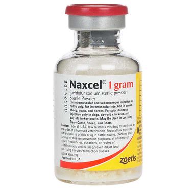 Naxcel (Ceftiofur Sodium) Sterile Powder, 1gm | On Sale | EntirelyPets Rx