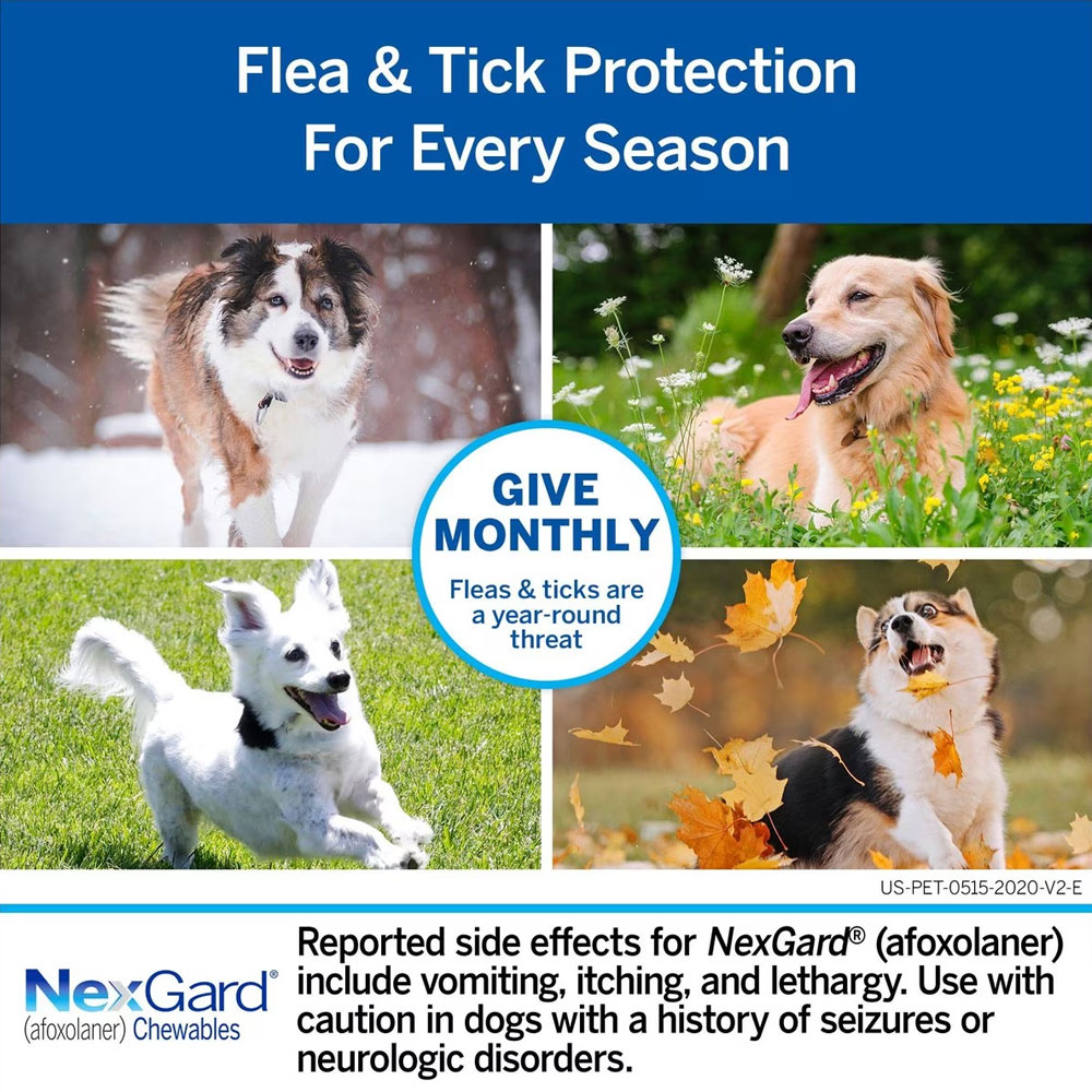 Nexgard chewables for dogs weight ranges