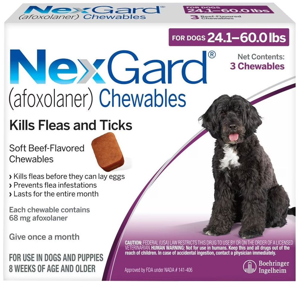 Next Guard Plus NexGard Chewables for Dogs 24.1-60 lbs (3 Chews) | On Sale | EP Rx