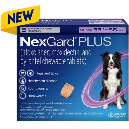 Nexgard Best Heartworm Meds NexGard HeartGard PLUS Combo 6-Month