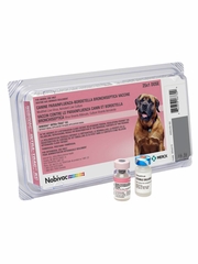 Nobivac for Canine Intra-Trac KC (25 Doses) - [Vaccine]