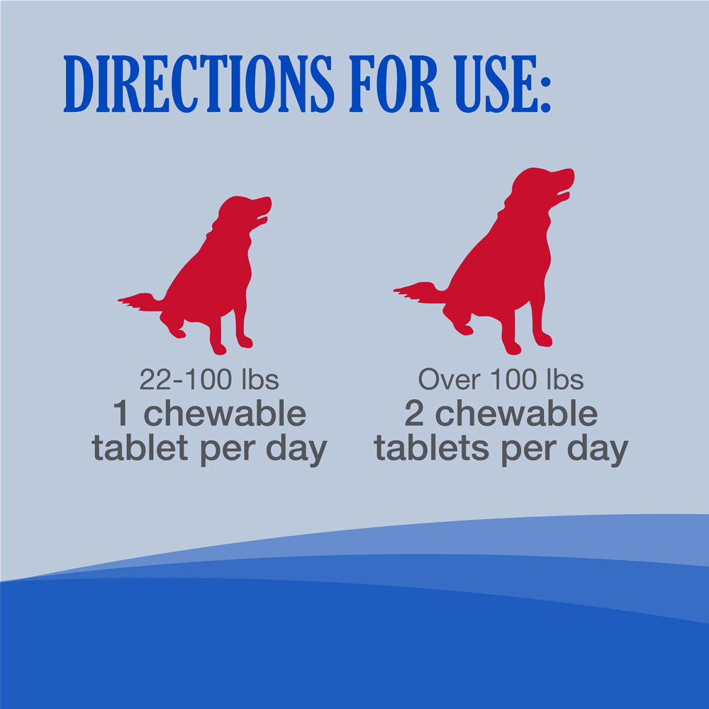 Nutramax Cobalequin B12 Supplement for Medium to Large Dogs, 45 Chewable Tablets On Sale