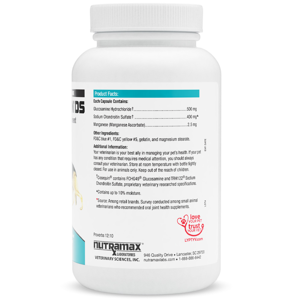 Nutramax Cosequin DS Joint Health Supplement for Dogs With