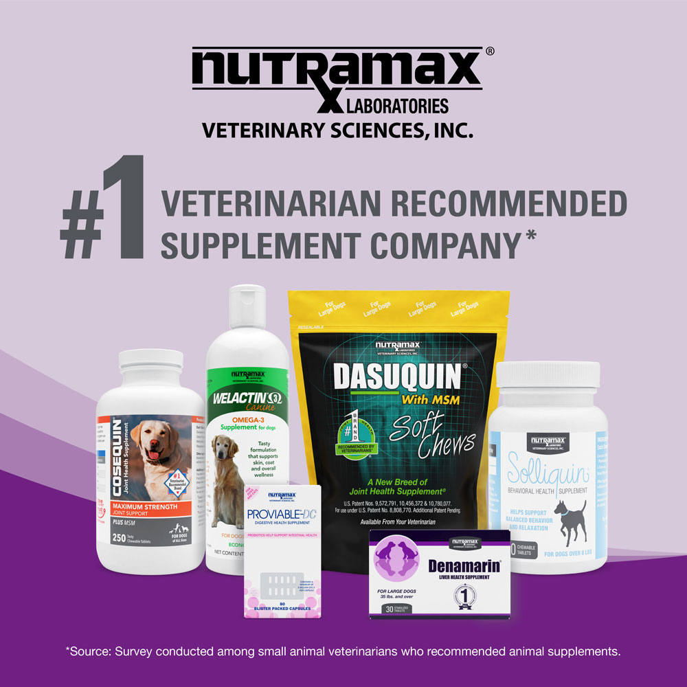 Nutramax Dasuquin Joint Health Supplement for Cats With Glucosamine