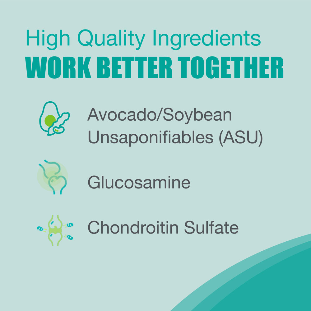 Nutramax Dasuquin Joint Health Supplement for Large Dogs With