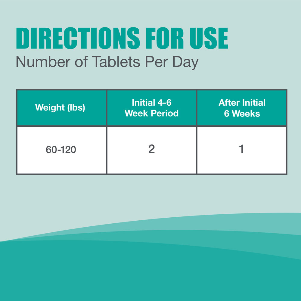 Nutramax Dasuquin Joint Health Supplement for Large Dogs With