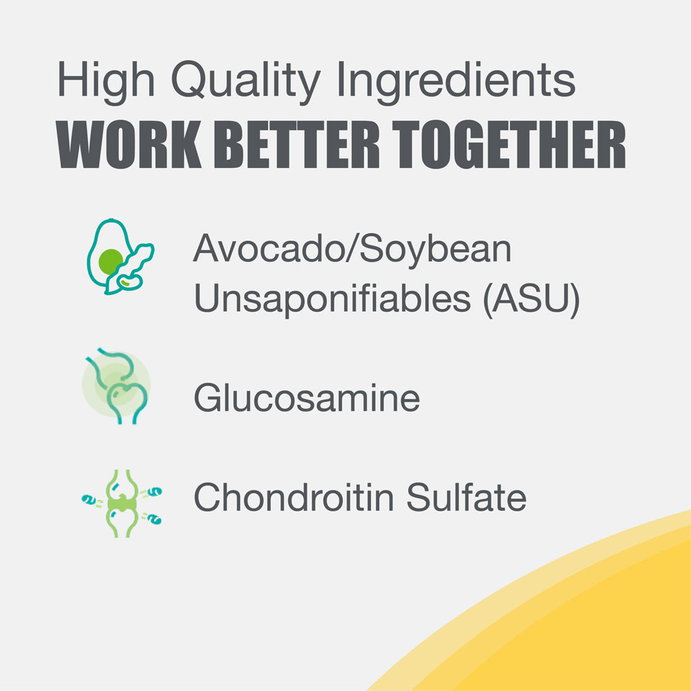 Nutramax Dasuquin Joint Health Supplement for Small to Medium Dogs