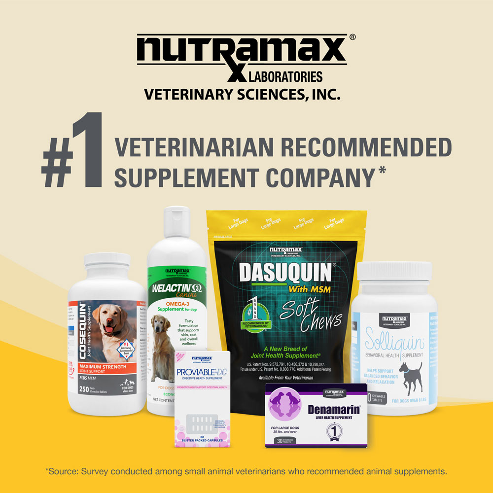 Nutramax Dasuquin Joint Health Supplement for Small to Medium Dogs