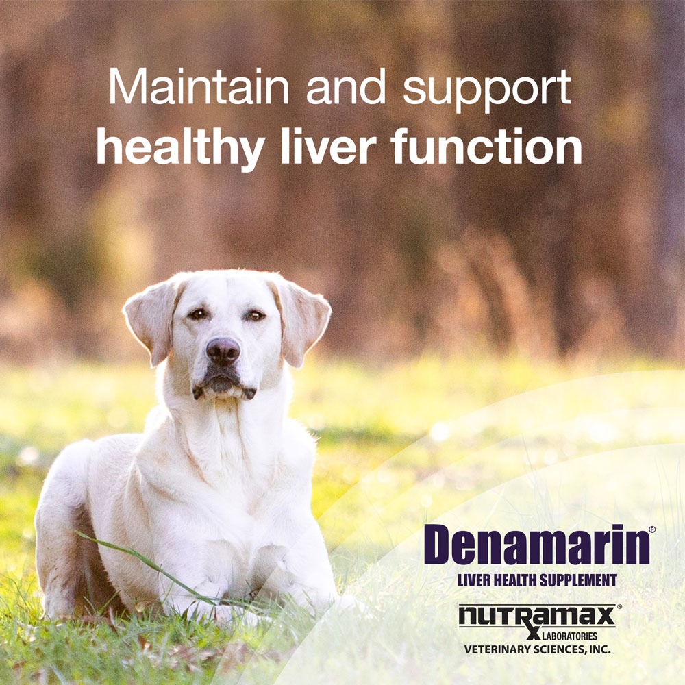 Nutramax Denamarin Liver Health Supplement for Dogs, With SAdenosylmethionine (SAMe) and