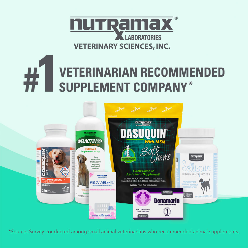 Nutramax Denamarin Liver Health Supplement for Dogs, With SAdenosylmethionine (SAMe) and