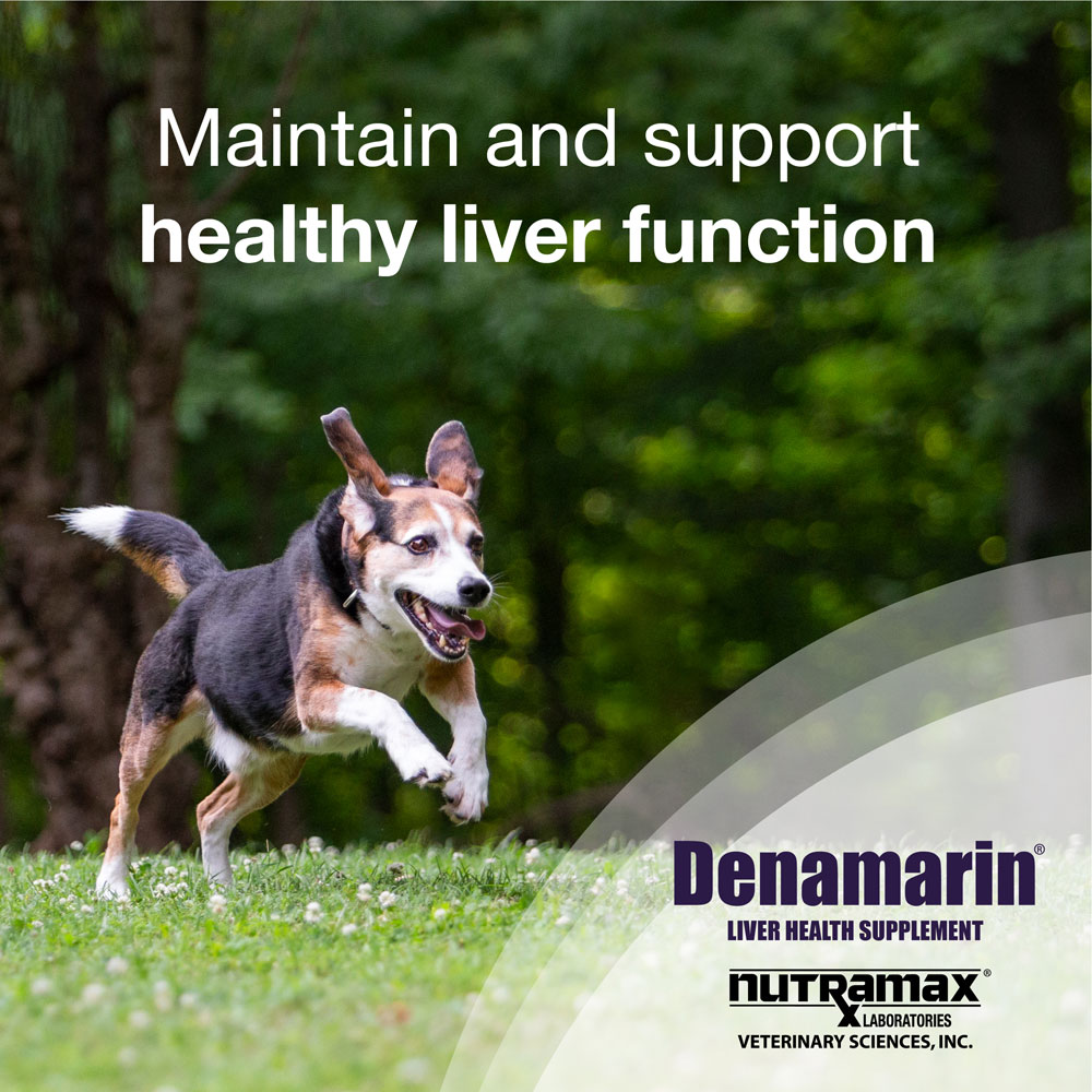 Nutramax Denamarin Liver Health Supplement for Medium Dogs With SAdenosylmethionine (SAMe