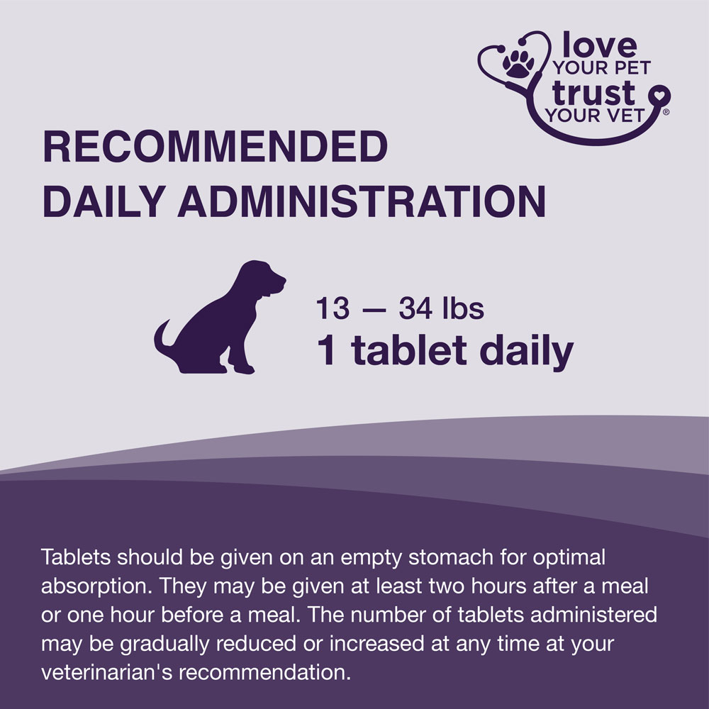 Nutramax Denamarin Liver Health Supplement for Medium Dogs With S