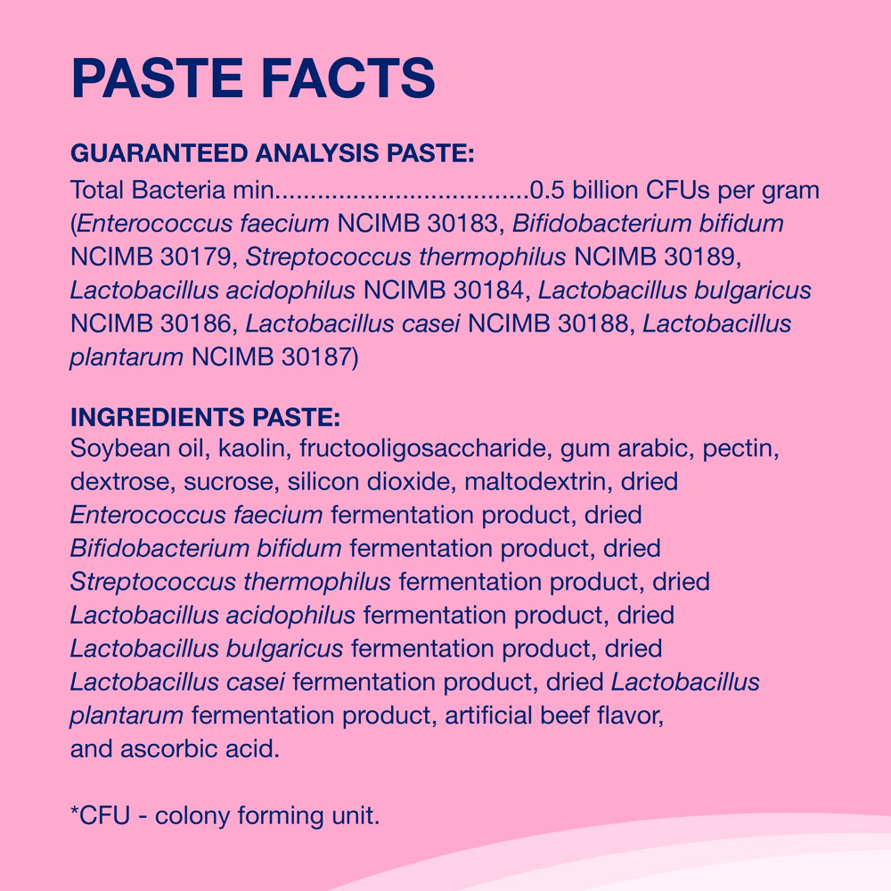 Nutramax Proviable Digestive Health Supplement Kit with MultiStrain