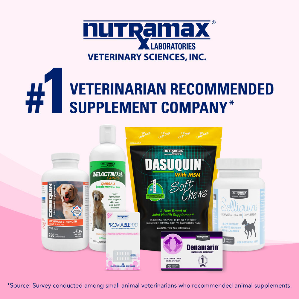 Nutramax Proviable Digestive Health Supplement Kit with MultiStrain