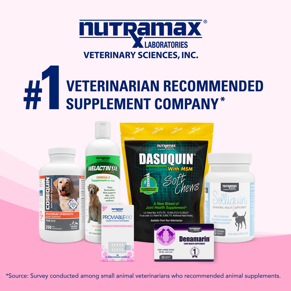 Nutramax Proviable Digestive Health Supplement Kit with MultiStrain