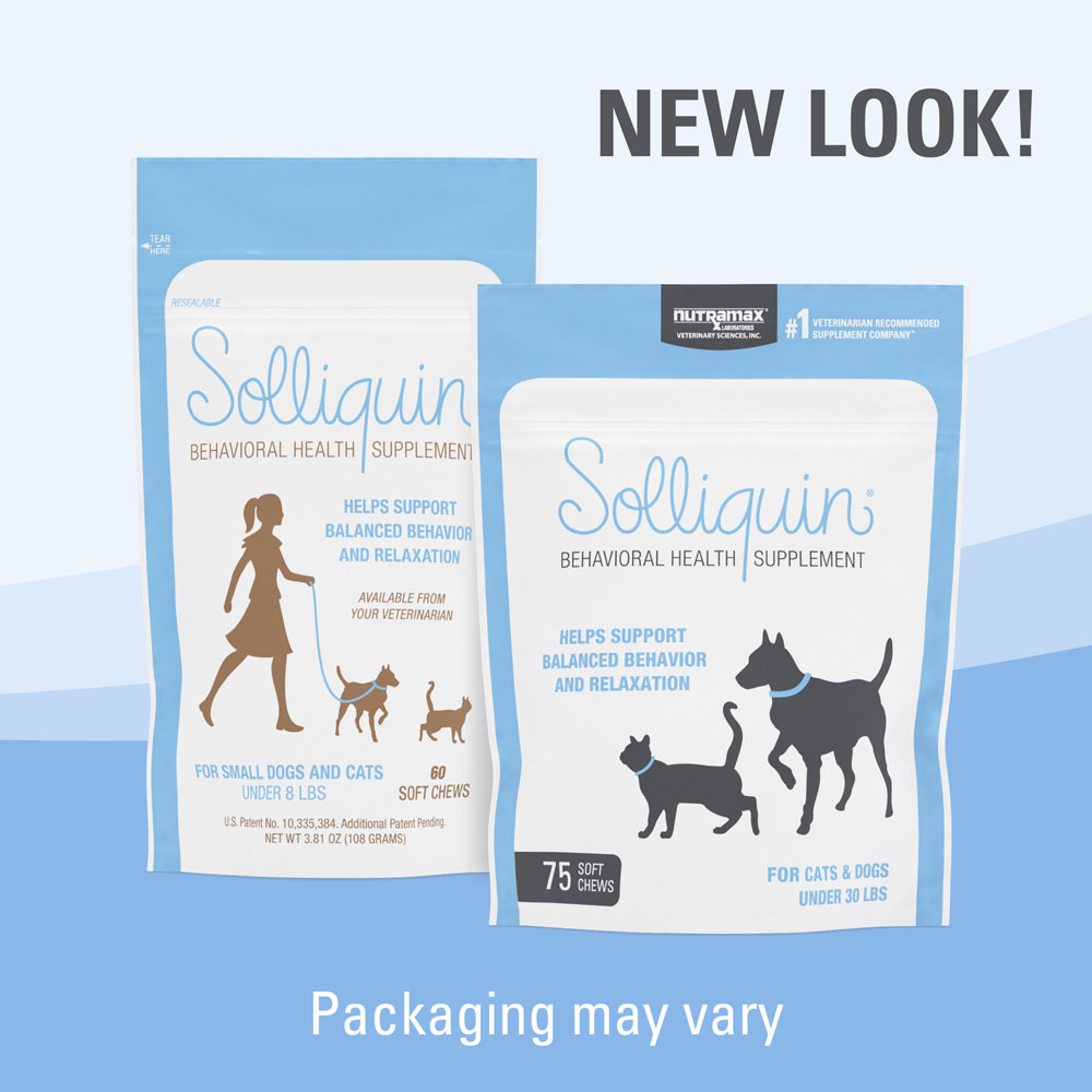 Nutramax Solliquin Calming Behavioral Health Supplement for Small to
