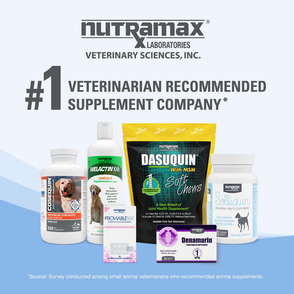 Nutramax Solliquin Calming Behavioral Health Supplement for Small to