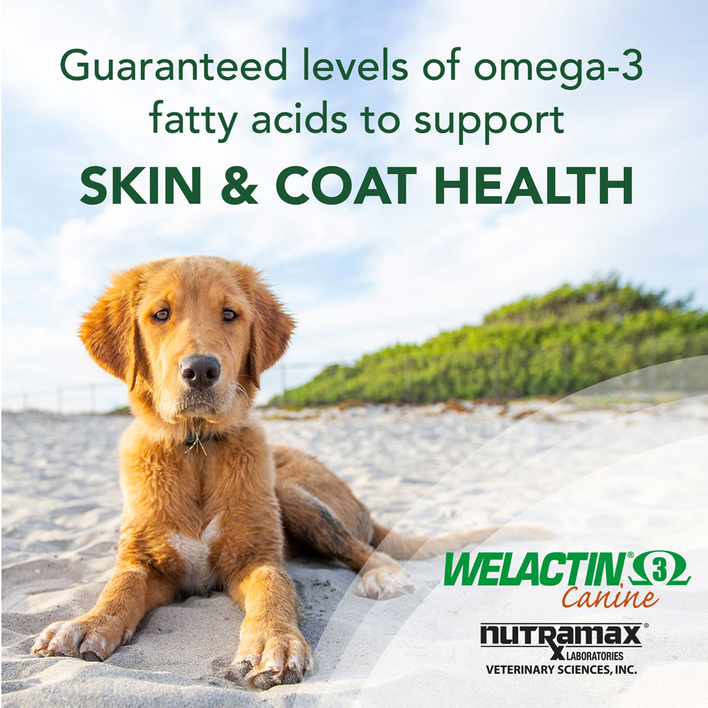 Nutramax Welactin Omega3 Fish Oil Skin and Coat Health Supplement