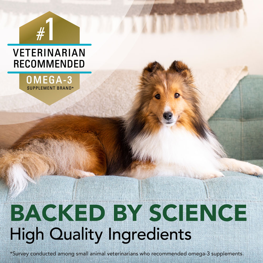 Nutramax Welactin Omega3 Fish Oil Skin and Coat Health Supplement