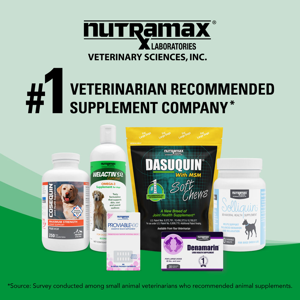 Nutramax Welactin Omega3 Fish Oil Skin and Coat Health Supplement