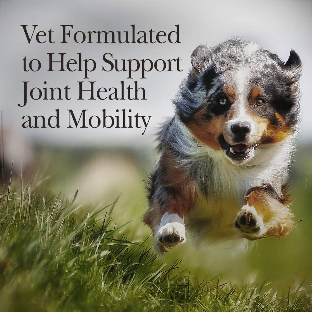 NutriVet Hip & Joint Extra Strength Biscuits for Dogs (6 lbs) On