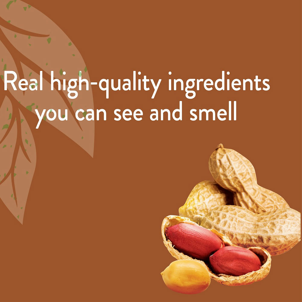 Nutro Small Crunchy Natural Dog Treats with Real Peanut Butter (16 oz