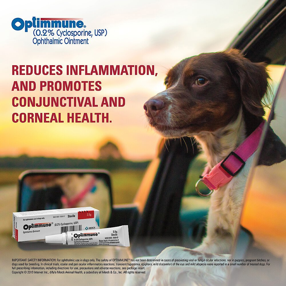 Optimmune Ophthalmic Ointment for Dogs (0.2 Cyclosporine,USP) 3.5