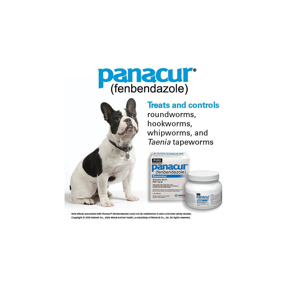 Panacur Granules 22.2 Fenbendazole, 1 lb Free Shipping EntirelyPets Rx