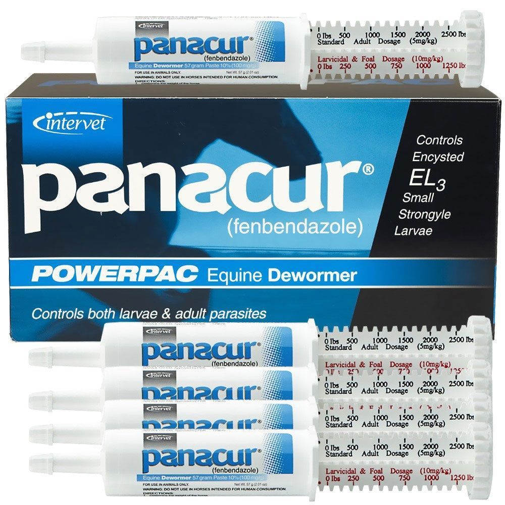 Panacur Equine Dewormer Powerpac (285 gm) On Sale EP Rx