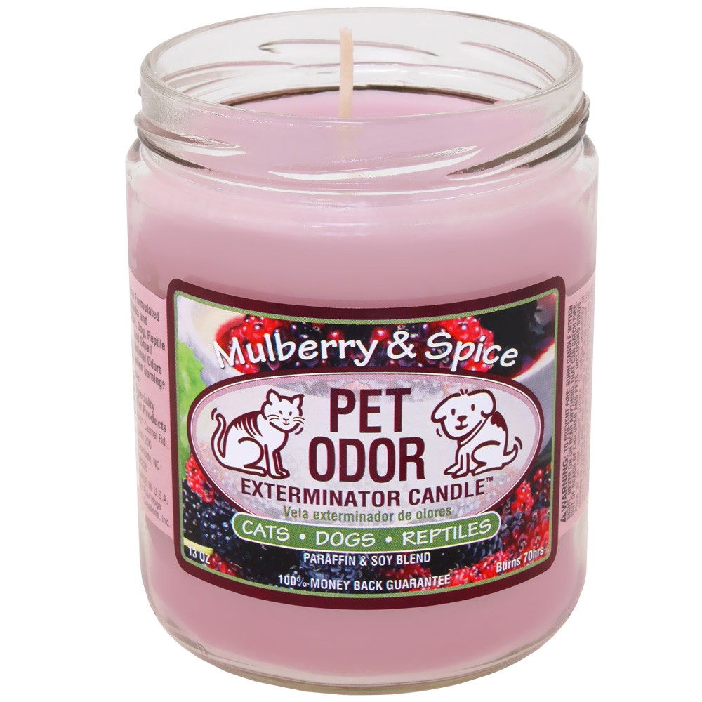 Pet Odor Exterminator Candle Mulberry & Spice Jar (13 oz) On Sale