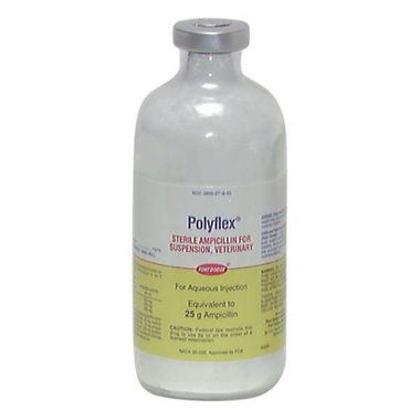 ampicillin 200 mg iv