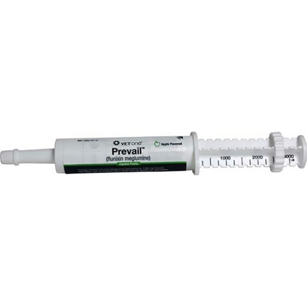 Prevail Inserts Prevail Paste for Equine - SINGLE Syringe (30 gm) - [Anti-Inflammatory ...
