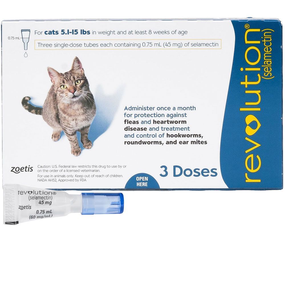 Ivermectin For Cats Ear Mites Atelier yuwa ciao jp Ivermectin for cats ear mites atelier yuwa ciao jp