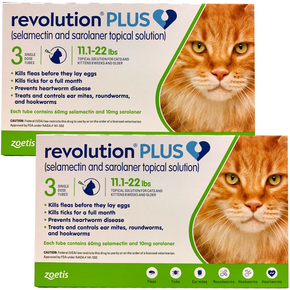 How Safe Is Revolution Plus For Cats A Comprehensive Guide