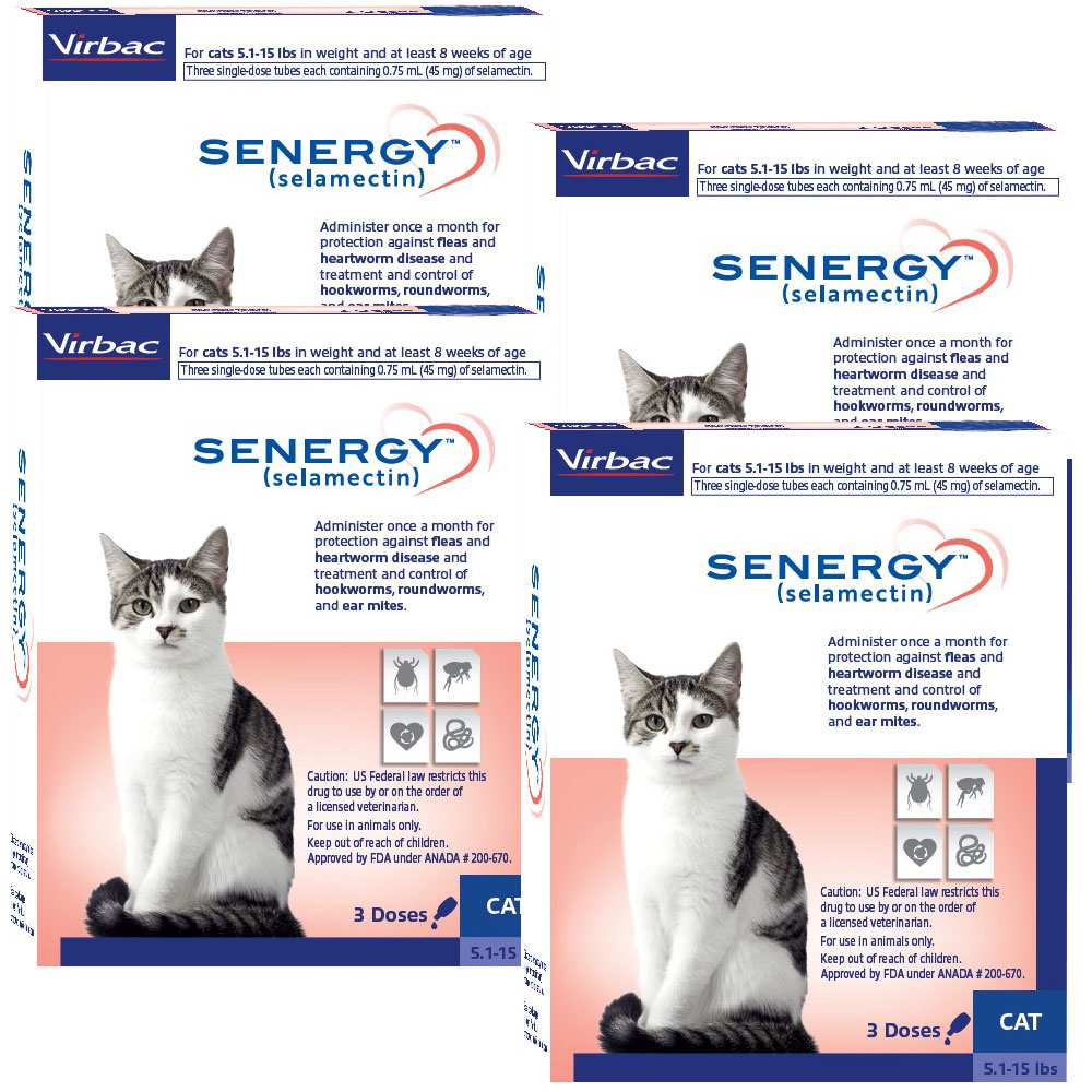 Senergy (selamectin) Topical Parasiticide for Cats 5.1 to 15 lbs (12