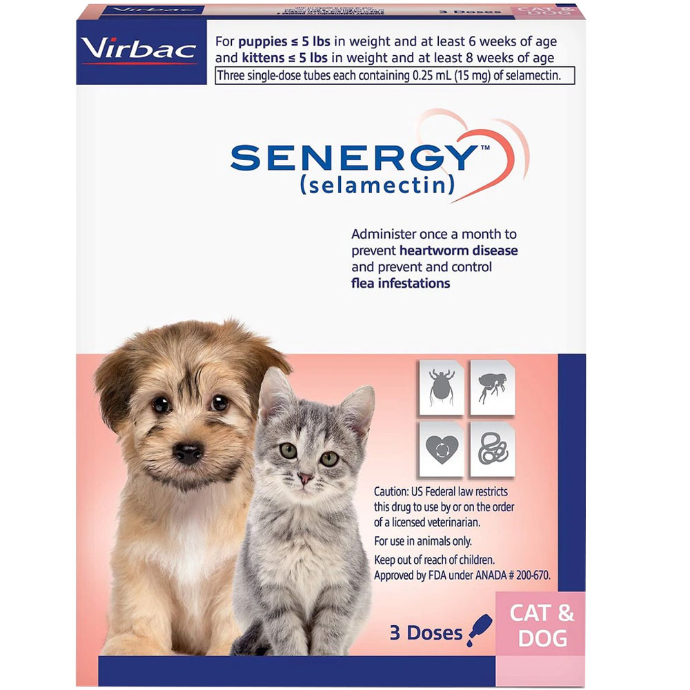 Selamectin Rabbit Dose Senergy (selamectin) Topical Parasiticide for Kitten and Puppy Up to 5 ...