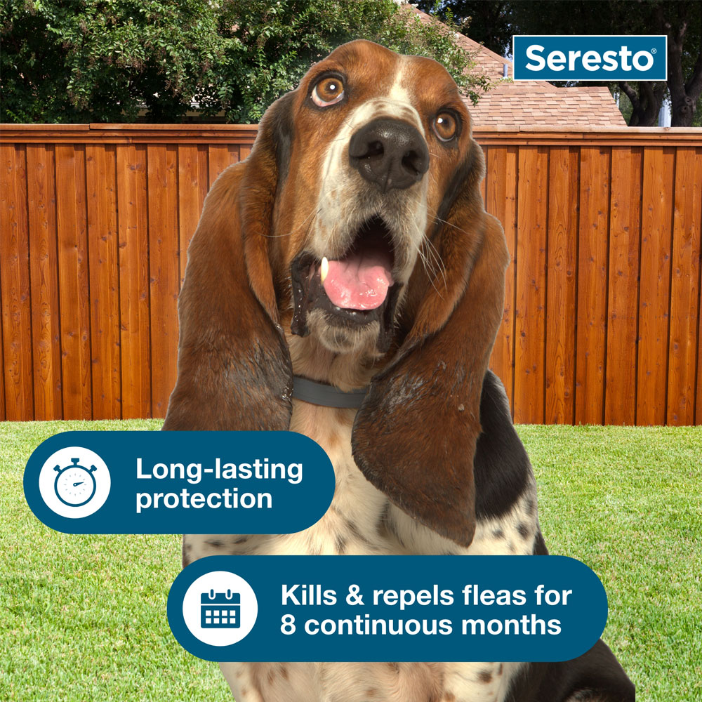 Seresto Collar for Small Dogs Free Shipping EP Rx