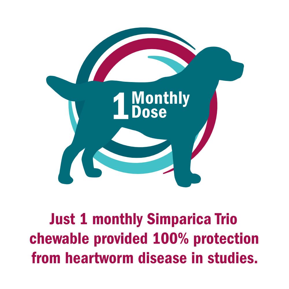 Simparica Trio for Dogs, 2.8-5.5 lbs (1 Ct.) | On Sale | EntirelyPets Rx