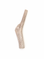 Spizzles Deer Antler Dog Chew - Solid (Medium) 5"