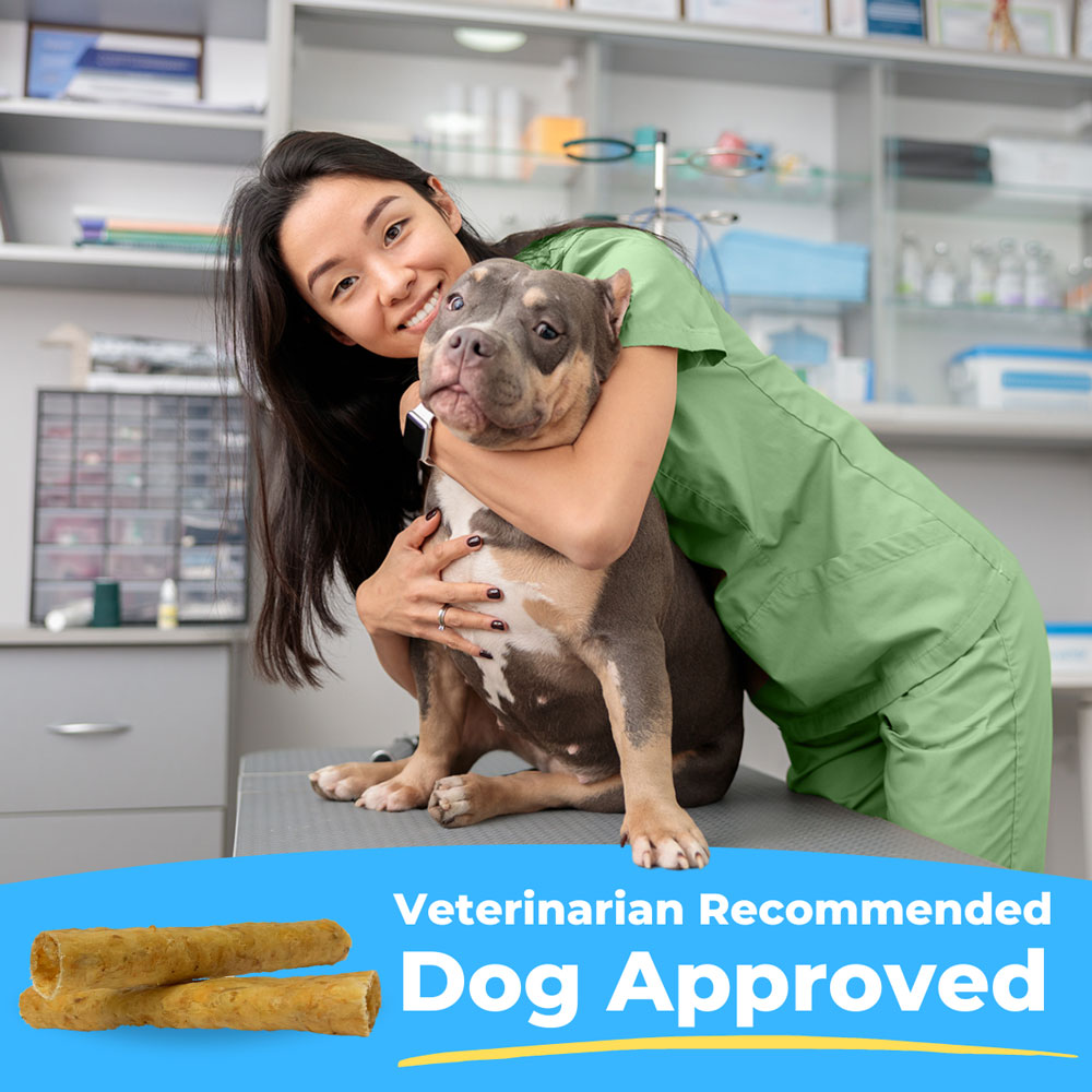 Tartar Shield Soft Rawhide Chews for Extra Large Dogs (12 count) On