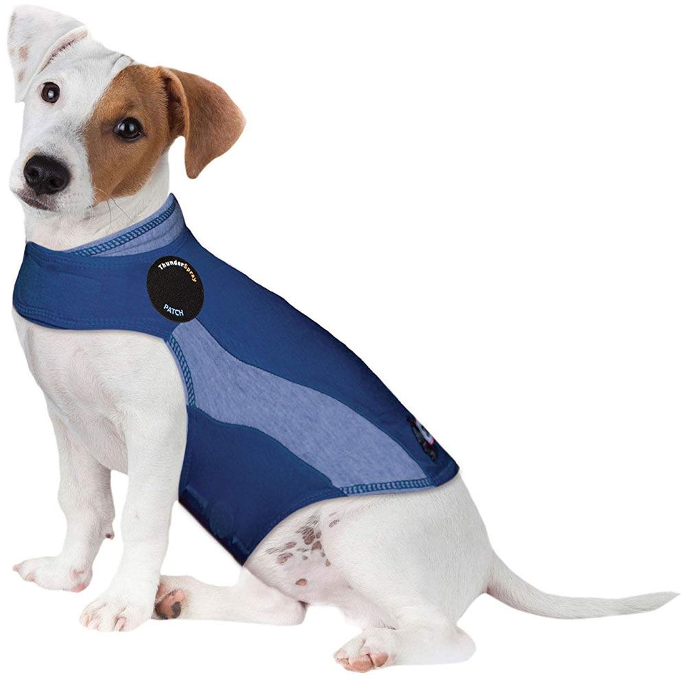 ThunderShirt Dog Anxiety Solution Blue Polo (SMALL) On Sale