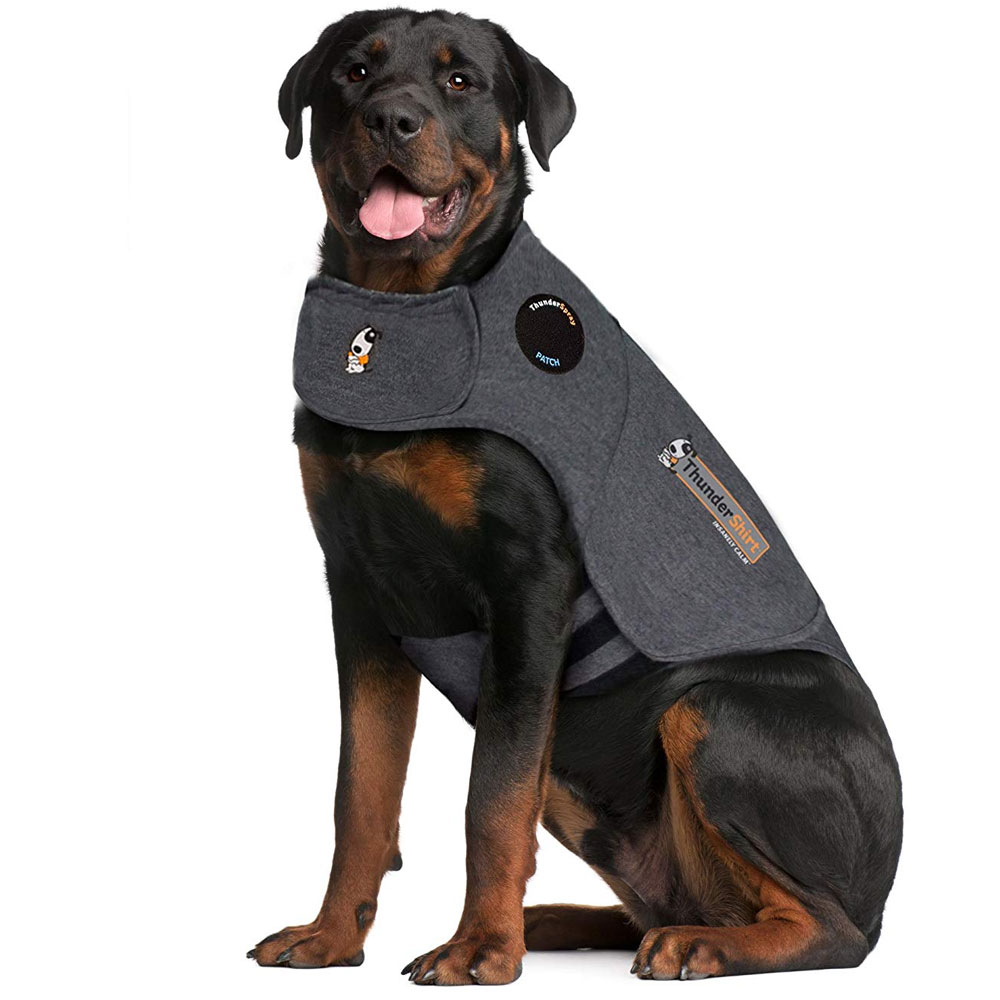 Petyoung Dog Anxiety Jacket - Calming Coat For Thunderstorms, Separation, Travel - Small To XL (Dark Grey)