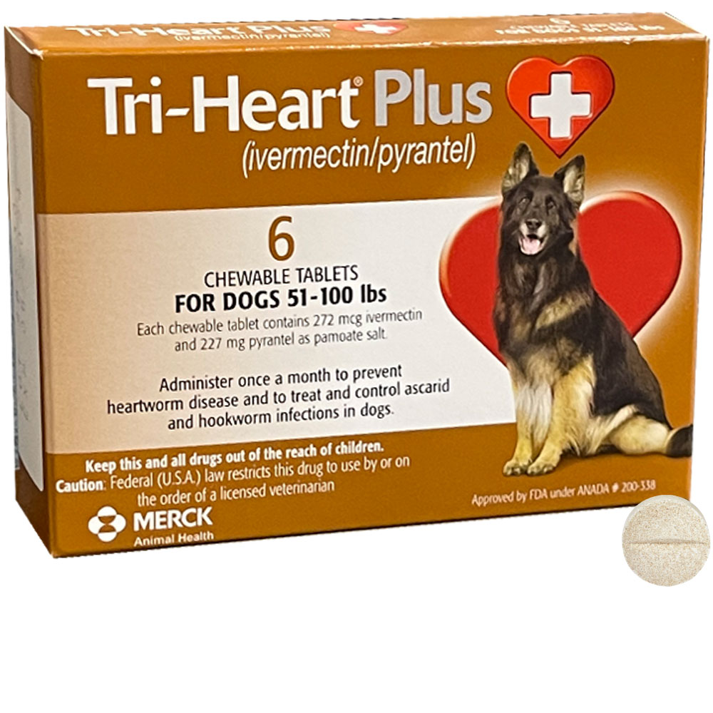 TriHeart Plus for Dogs 51100 lbs (1 Chew Tab) On Sale EntirelyPets Rx