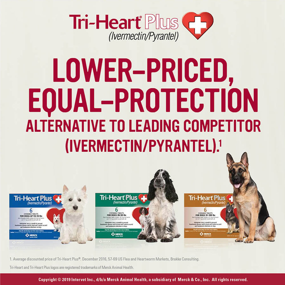 TriHeart Plus for Dogs ivermectinpyrantel up to 25 lbs (12